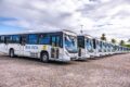 Prefeita Emília anuncia chegada de 35 novos ônibus climatizados para reforçar transporte coletivo
